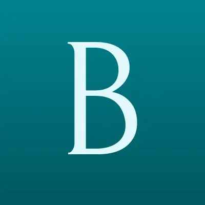 BarsTravel, трансферная компания, лого-визитка