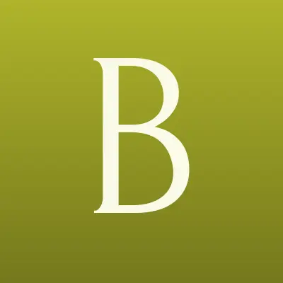 Bork, сервисный центр, лого-визитка