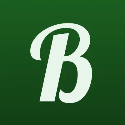 Bos Service, лого-визитка