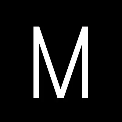 Многофункциональный Визовый Центр, лого-визитка