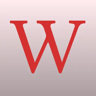 WAFE-System, лого-визитка