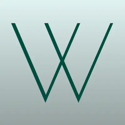 White Media Studio, рекламная компания, лого-визитка