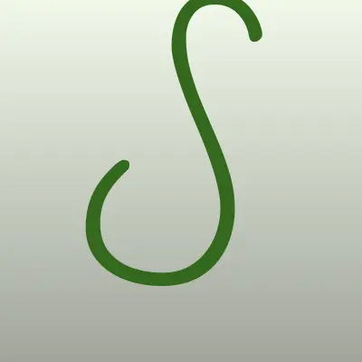 Сикон