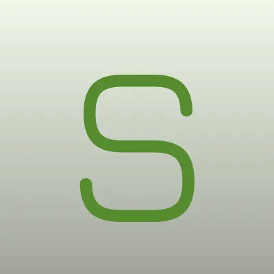 spb lines, компания по заказу автобусов, лого-визитка